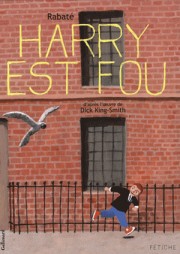 harry_est_fou.jpg