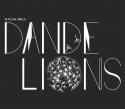 dandelions.jpg