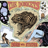 the_donkeys__born_with_stripes.jpg