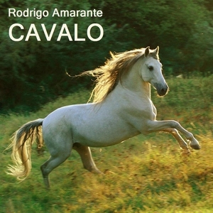 RODRIGO AMARANTE