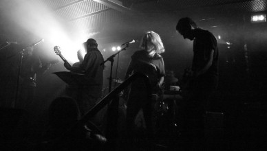 The Lem's groupe