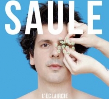 Saule l'éclaircie