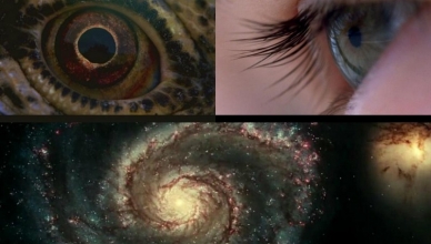 Voyage of Time – Terrence Malick