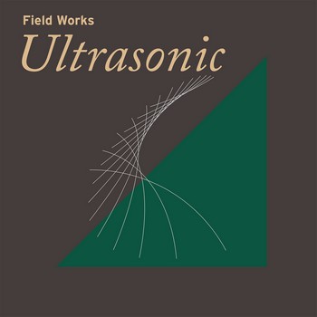 Ultrasonic Field Works