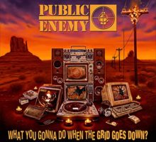 Public Enemy - What You Gonna Do When The Grid Goes Down