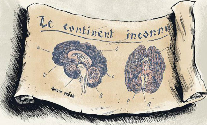 La Fuite du cerveau – Pierre-Henry Gomont