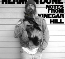 Herman Düne – Notes from Vinegar Hill