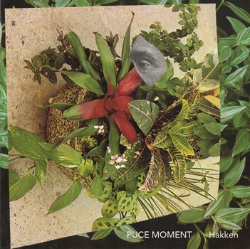 Puce Moment - Hakken