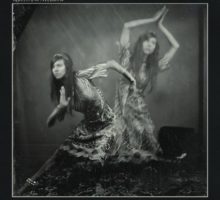 Queen Of The Meadow – Survival Of The Unfittest