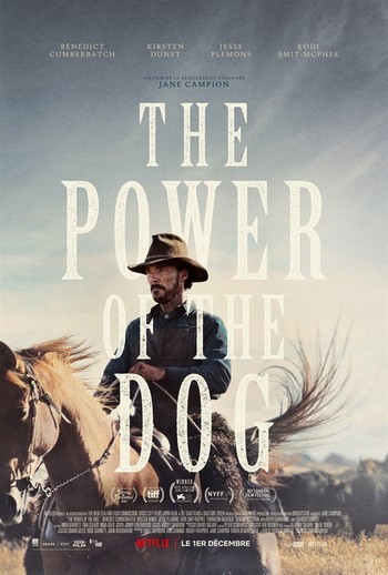 the-power-of-the-dog-affiche