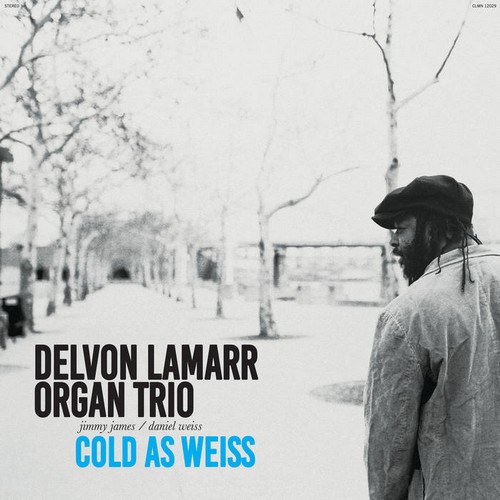 Delvon Lamarr Organ Trio