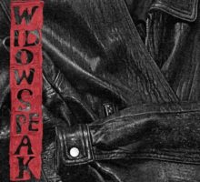 Widowspeak-The-Jacket
