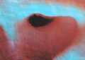 Pink Floyd – Meddle