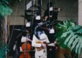 Penguin Cafe