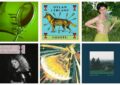 playlist-benzine-du-lundi-133