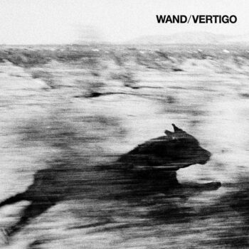 WAND-vertigo
