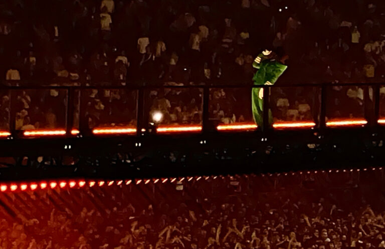 [Live Report] Tyler, The Creator à l'Accor Arena : Le Salon de musique ...
