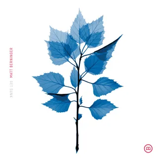 The-National-Matt-Berninger-Get-Sunk