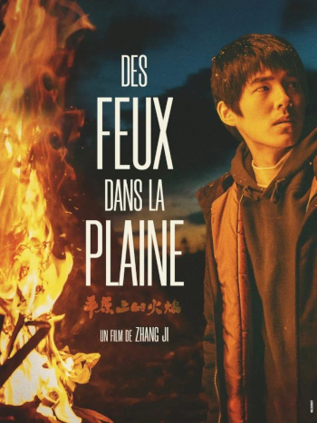 Des feux dans la plaine affiche