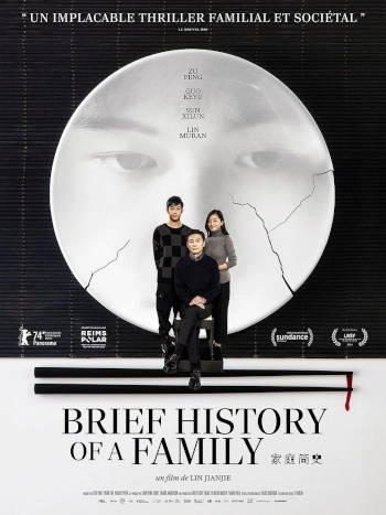 Brief History of a Family affiche