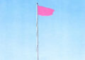 Pink Flag MEA
