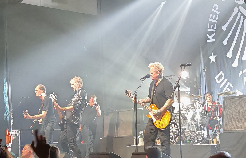 Die Toten Hosen Elysee Montmartre Florent Gillloury 02