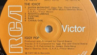 The Idiot image