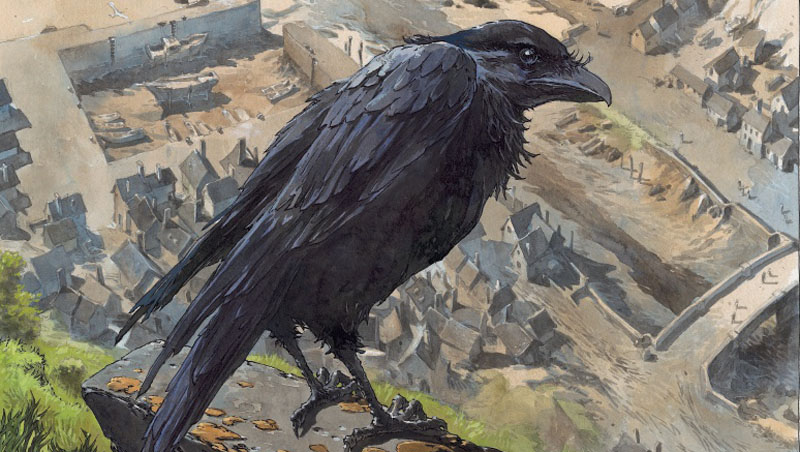 Deryn Du – Guillaume Sorel