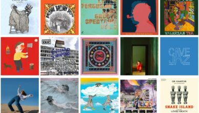 sorties du vendredi 21 novembre 2025