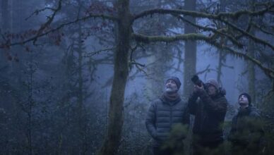 le-chant-des-forets-photo