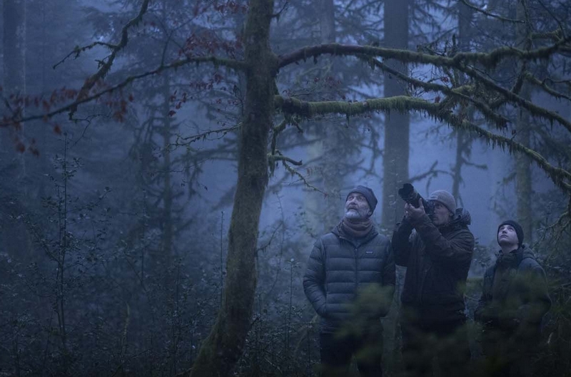 le-chant-des-forets-photo