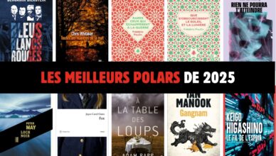 Les meilleurs polars de 2025 : la sélection BENZINE