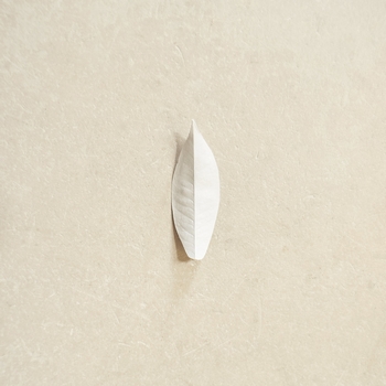 Sylvain Chauveau - The Complexity Of The Simple