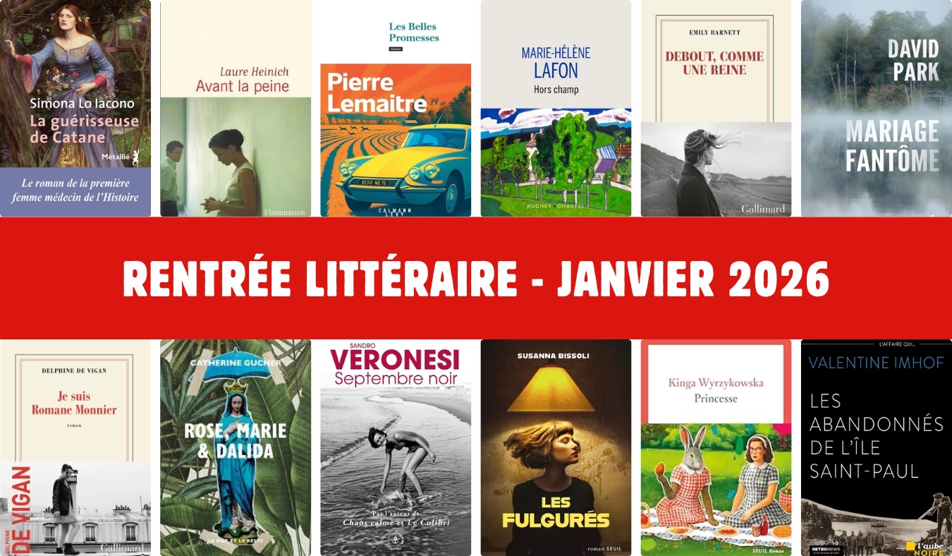 Rentr e Litt raire Janvier 2026 Nos 20 Romans Favoris Benzine Magazine
