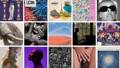 les-sorties-du-vendredi-20-fevrier-2026