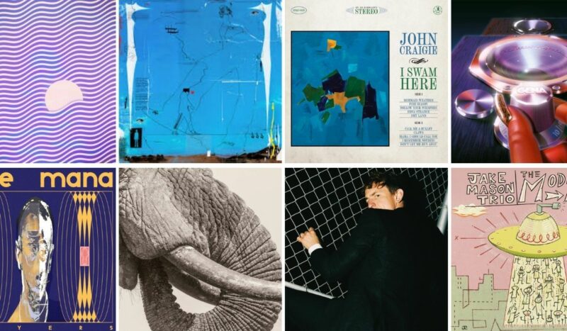 10-albums-en-plus-fevrier-2026