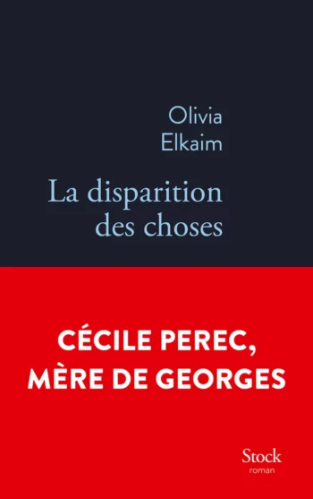 la-disparition-des-choses
