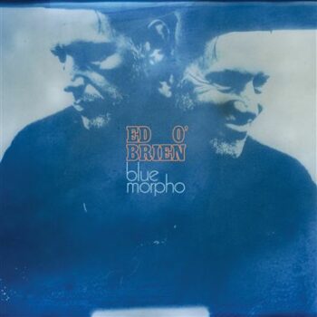 Blue-Morpho