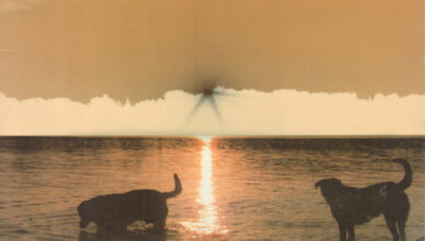 New Day Rising MEA