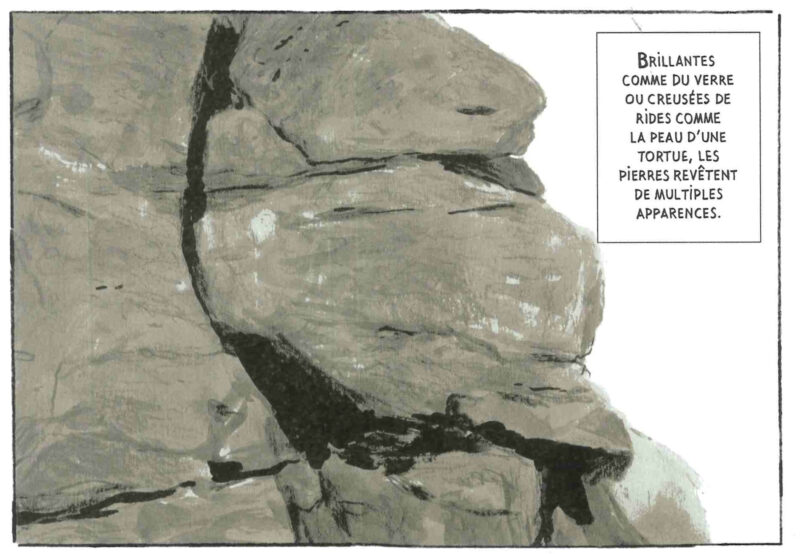 La Montagne d encre image