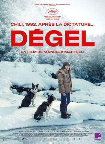 Dégel affiche