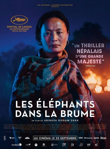 Les elephants dans la brume affiche