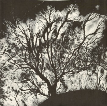 The Serpents Egg Inner Sleeve