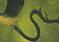 The Serpents Egg MEA