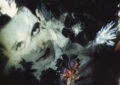 Disintegration MEA