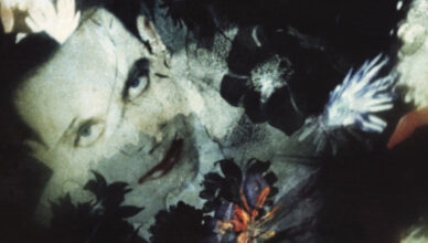 Disintegration MEA