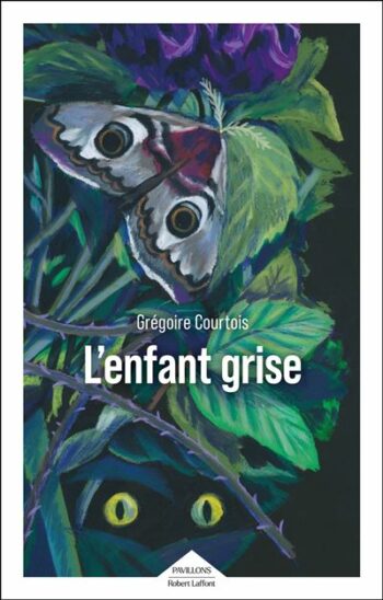 L Enfant grise
