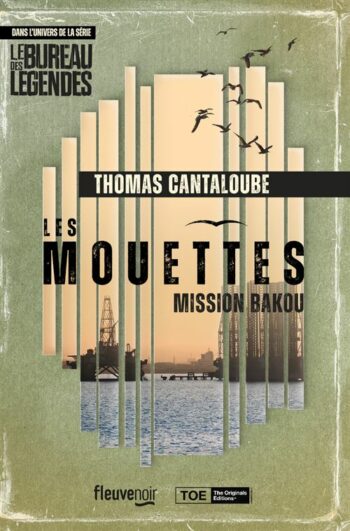 Les mouettes : mission Bakou